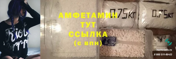 тгк Абаза
