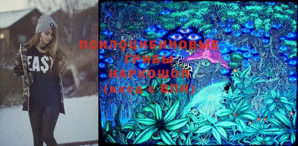 тгк Абаза