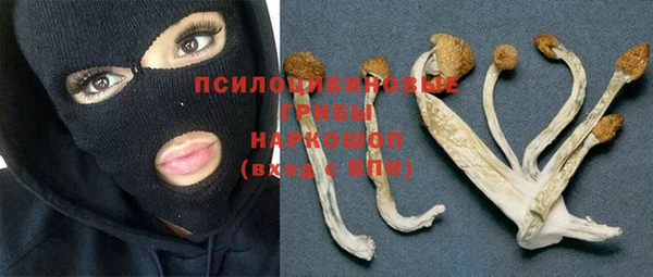 тгк Абаза