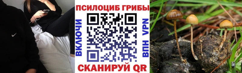 ссылка на мегу как войти  Электроугли  Псилоцибиновые грибы мицелий 